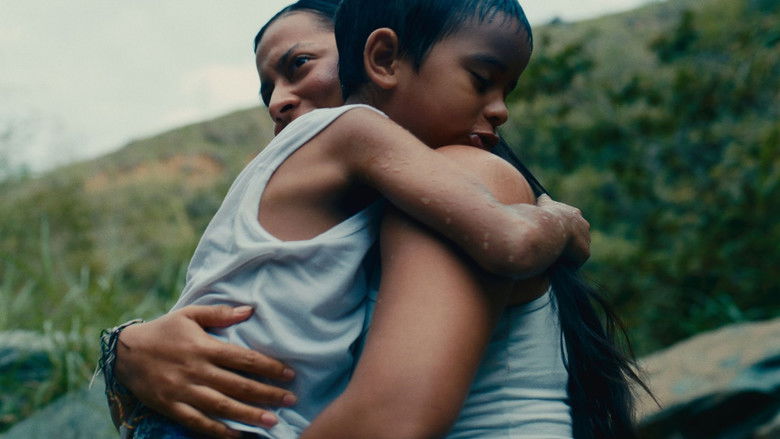 кадр из фильма Arrullos de Sol