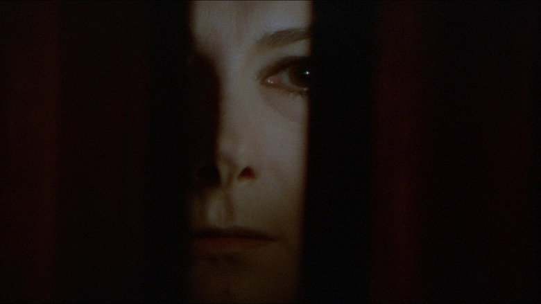 кадр из фильма La tarantola dal ventre nero