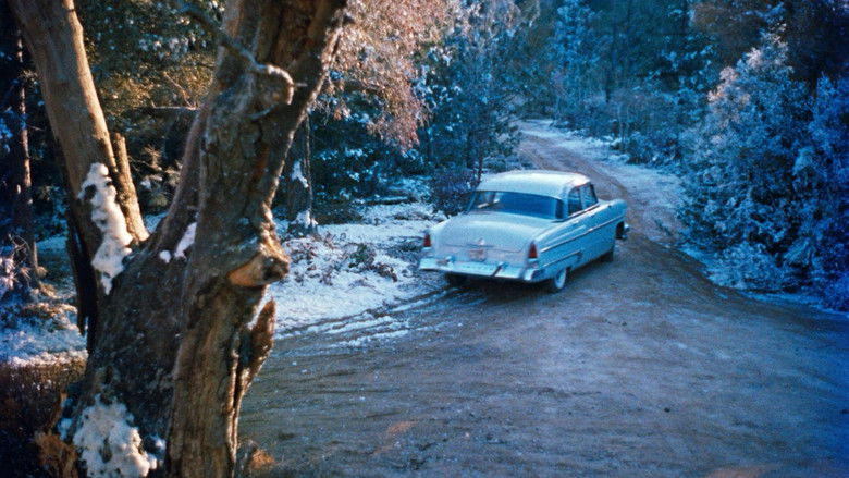 кадр из фильма Все, что дозволено небесами