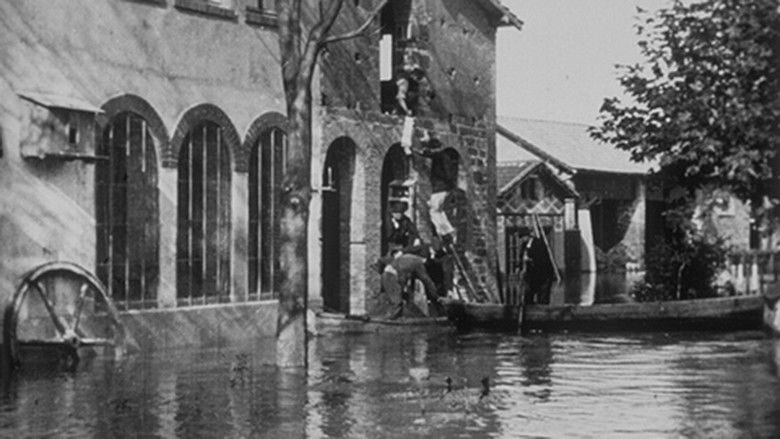 кадр из фильма Lyon : sauvetage de lapins