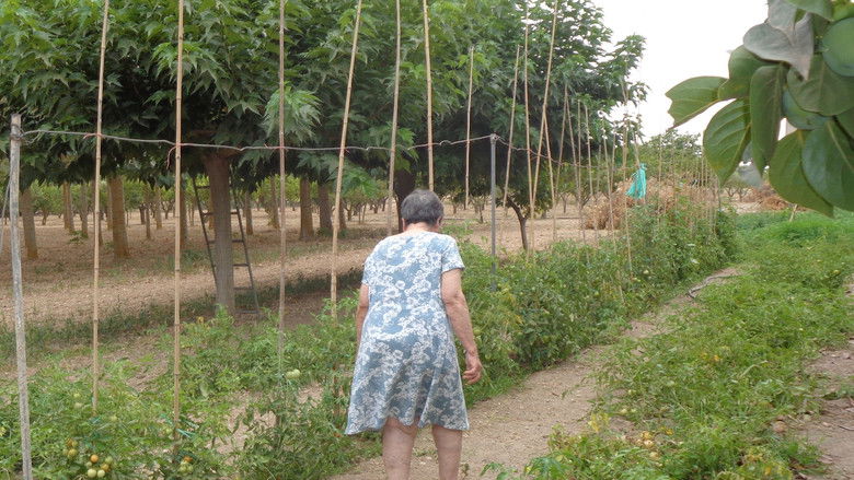 кадр из фильма A Son Miró