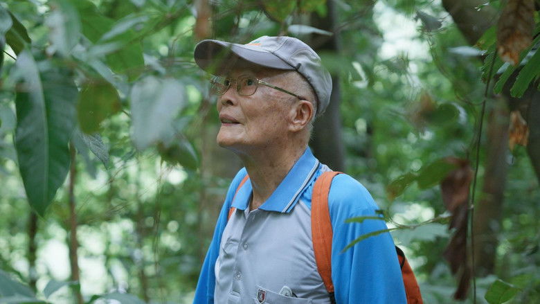 кадр из фильма 複層之森