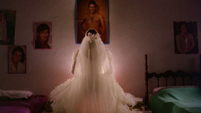 кадр из фильма A Mulher Que Inventou o Amor