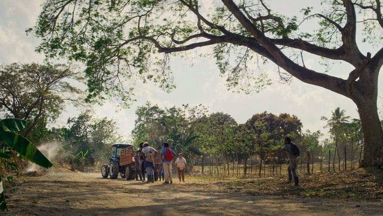 кадр из фильма Platanero