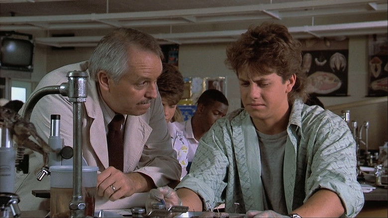 кадр из фильма Каков отец, таков и сын