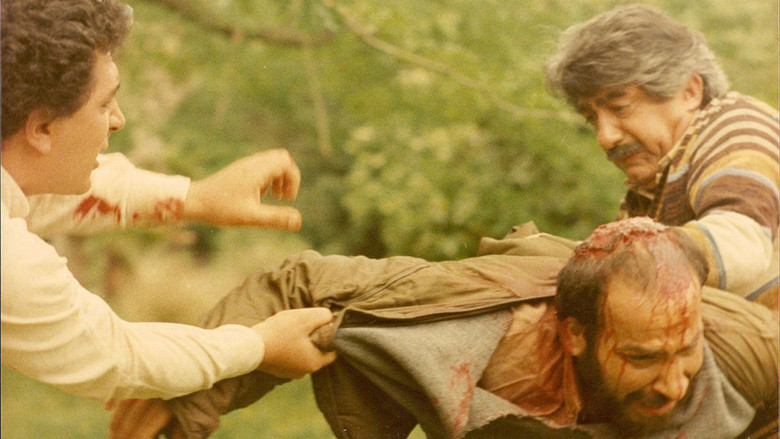 кадр из фильма خانه عنکبوت