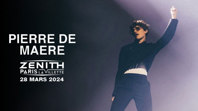 кадр из фильма Pierre de Maere en concert au Zénith de Paris