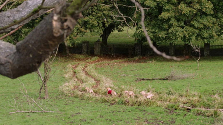 кадр из фильма Мистическая пятерка