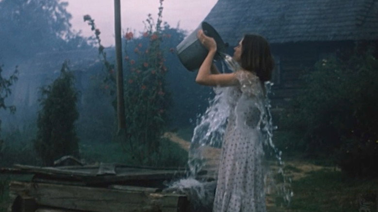 кадр из фильма Сад желаний