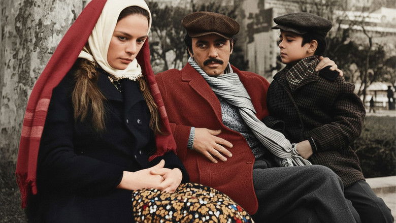 кадр из фильма Gelin