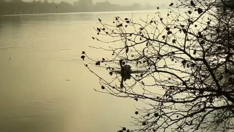 кадр из фильма Hunting Confessions