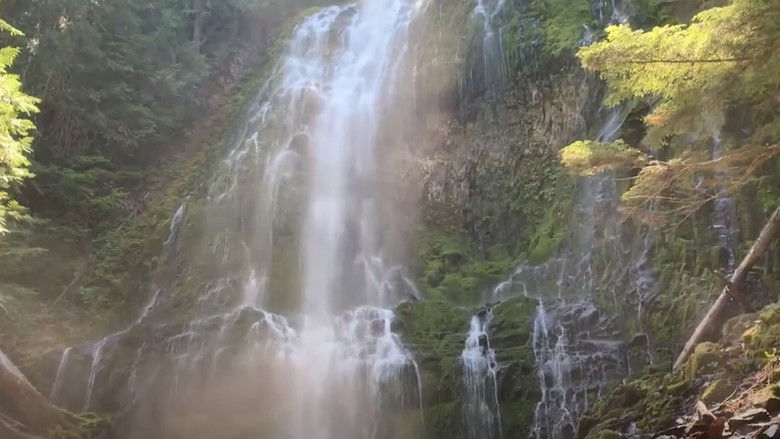 кадр из фильма The Oneiric Cathedral