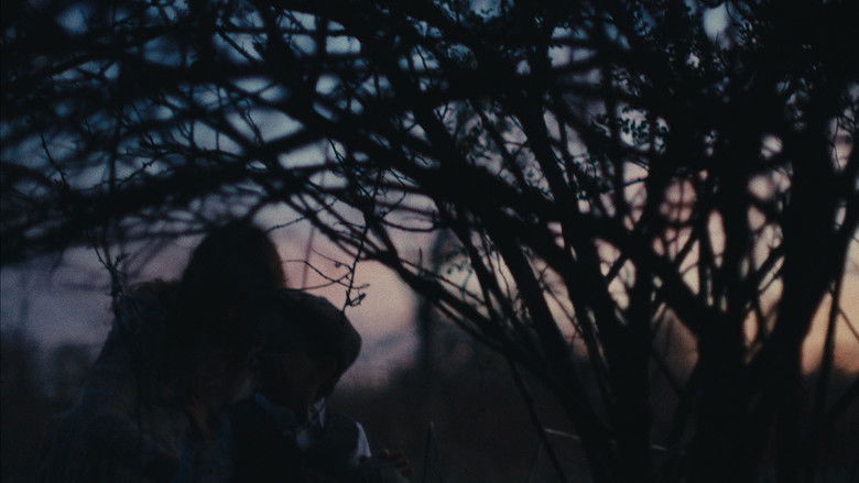 кадр из фильма The Sapphire Door