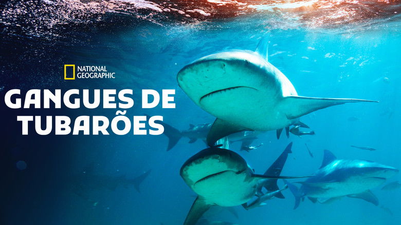 кадр из фильма Shark Gangs