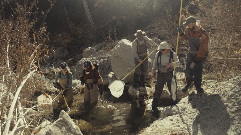 кадр из фильма Fish for the Future