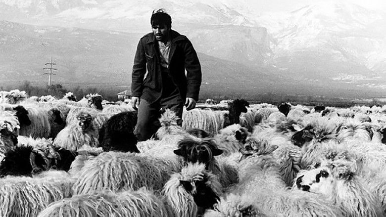 кадр из фильма Три