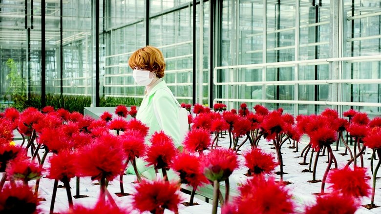 кадр из фильма Малыш Джо