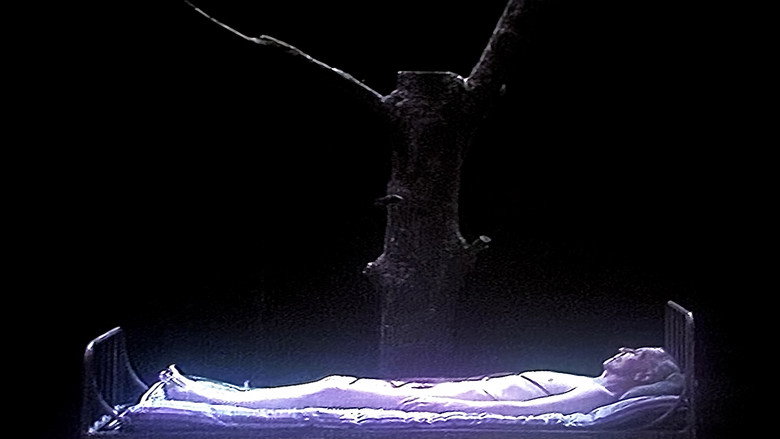 кадр из фильма Ett drömspel