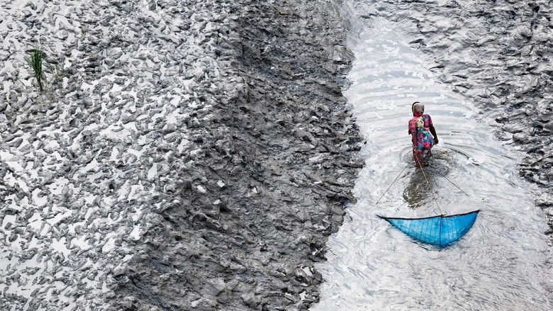 кадр из фильма Legacy, notre héritage