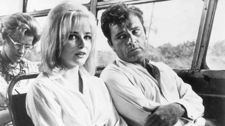 кадр из фильма Ночь игуаны