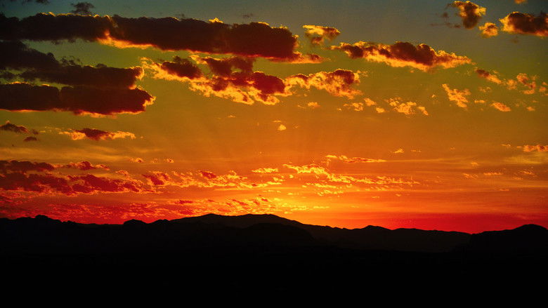 кадр из фильма Desert Vision