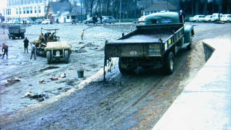 La Lutte des enfants, des femmes, des hommes contre la marée noire
