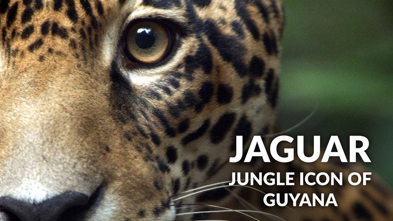 кадр из фильма Sur la piste du jaguar au Guyana