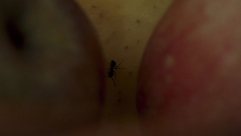 кадр из фильма Estaba dormida