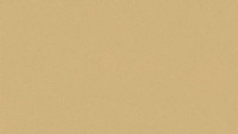 кадр из фильма Bruno Dumont