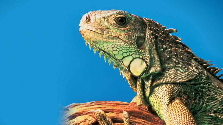 кадр из фильма The Living Desert