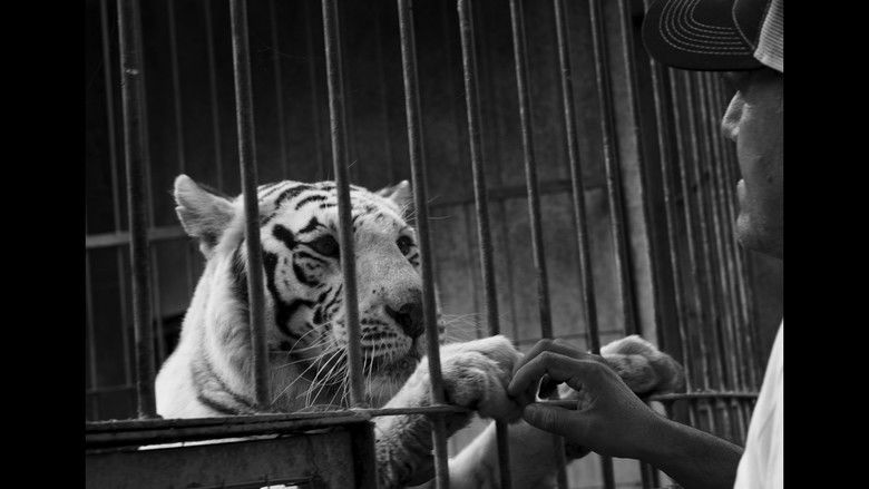 кадр из фильма Crónica de una muerte animal