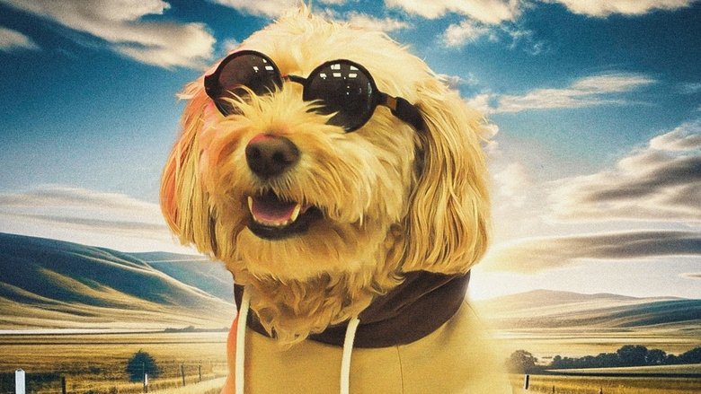 кадр из фильма Dog Fugitive