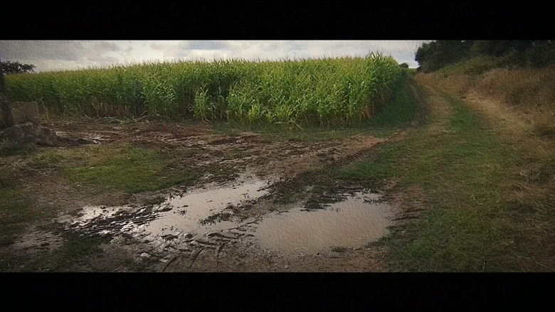 кадр из фильма Wandering: The Art of Noticing