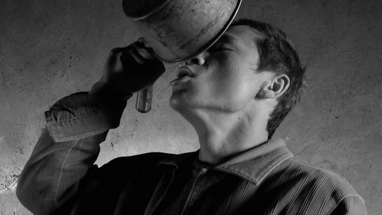 кадр из фильма Black Blood