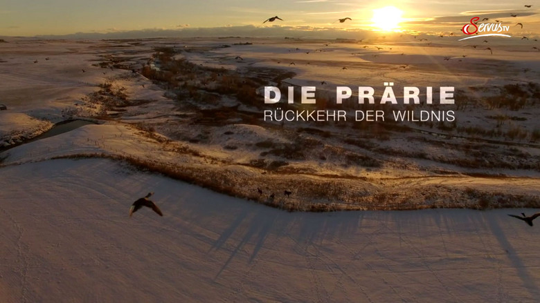 Die Prärie - Rückkehr der Wildnis