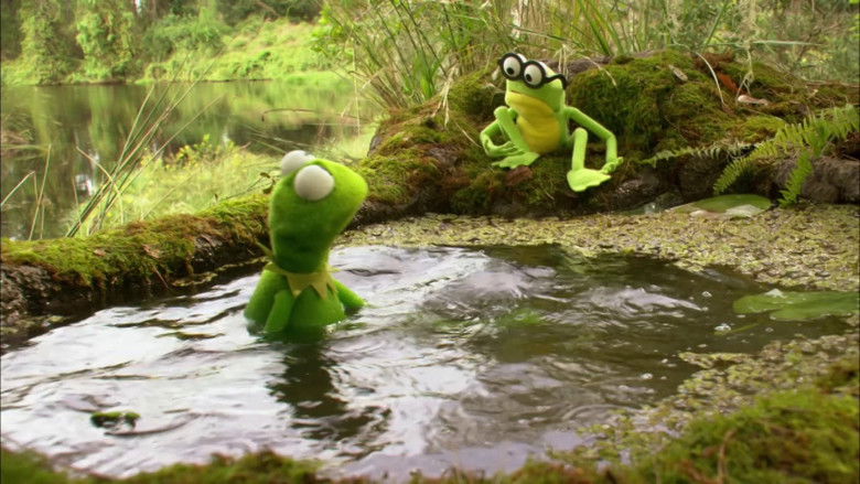 кадр из фильма Kermit's Swamp Years