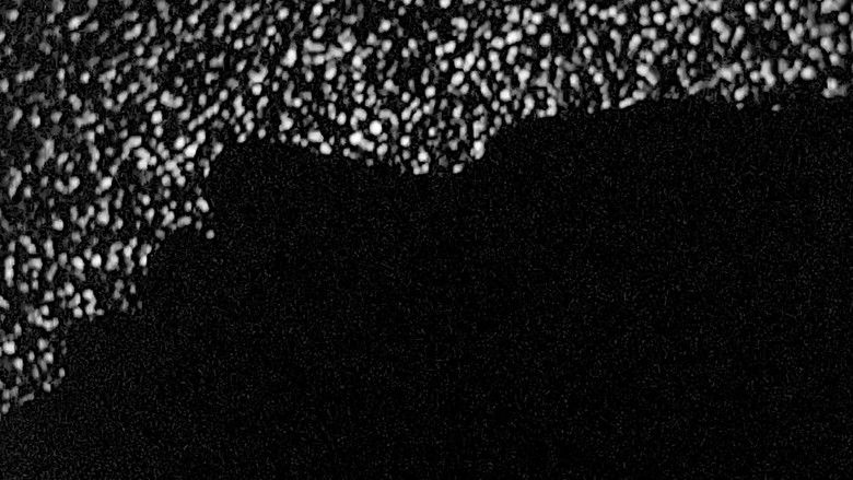 кадр из фильма Prosthetic Soul