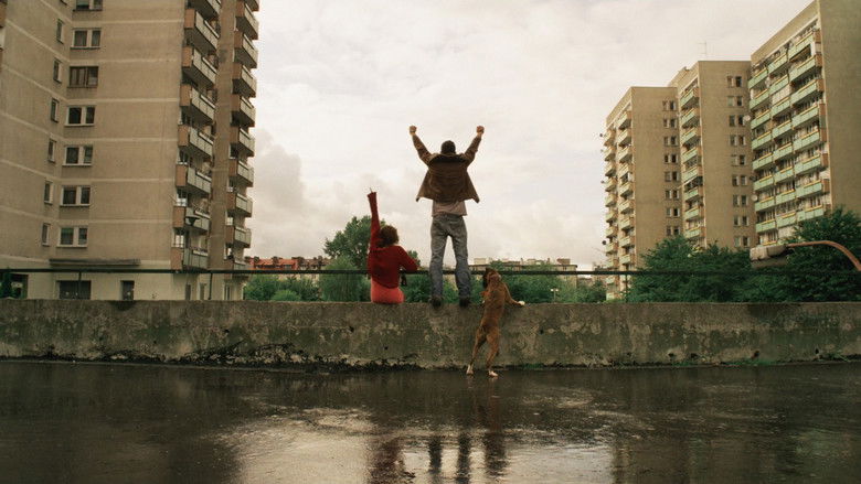 кадр из фильма Большая любовь