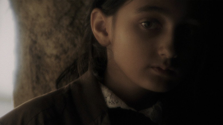 кадр из фильма Primo Sangue