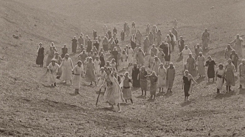 кадр из фильма Семь шансов