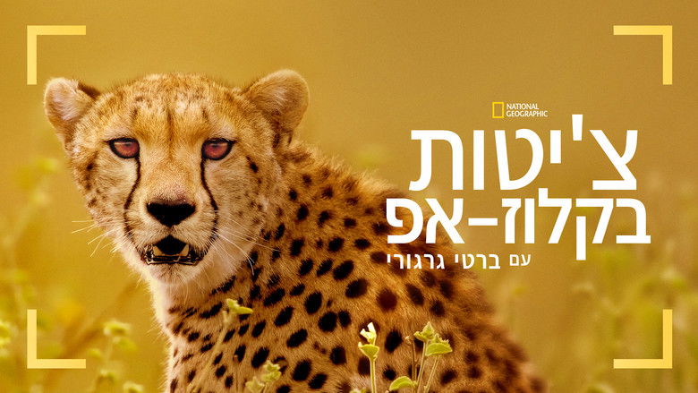 кадр из фильма Гепарды: лицом к лицу с Берти Грегори