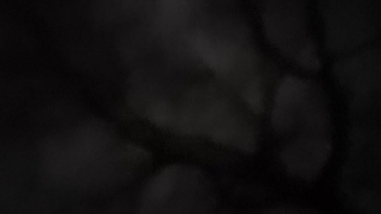 кадр из фильма The Ache