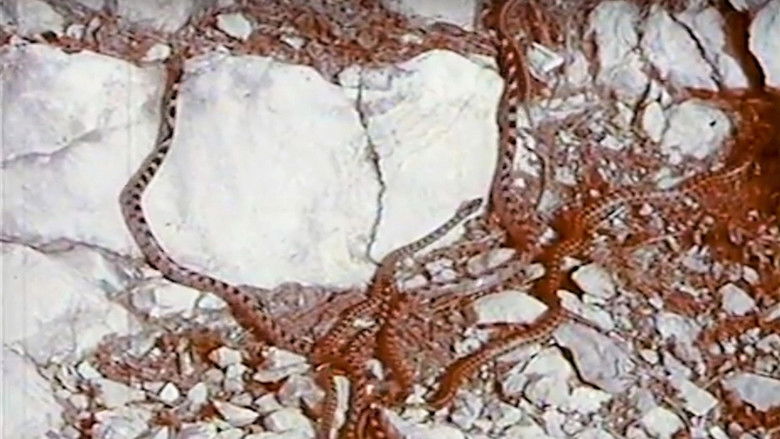 кадр из фильма Juda