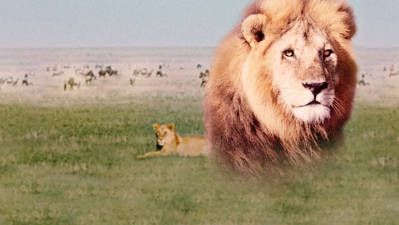 кадр из фильма The African Lion