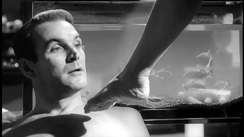 кадр из фильма Ева