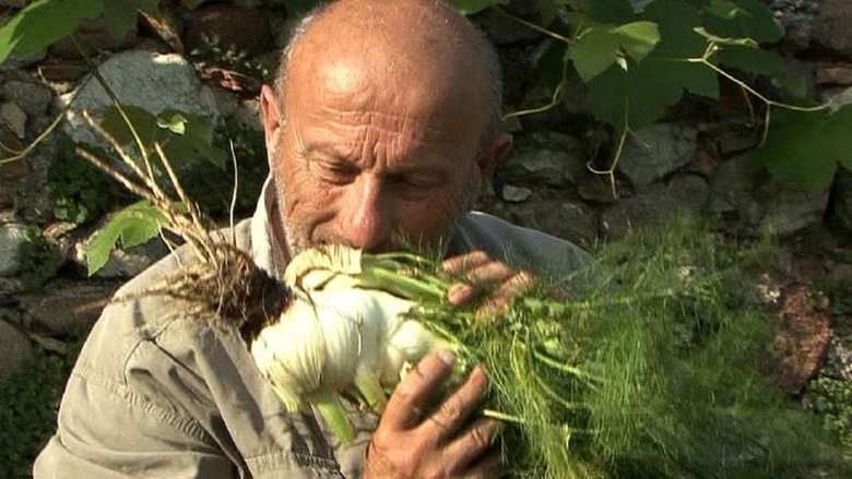 кадр из фильма Terra madre