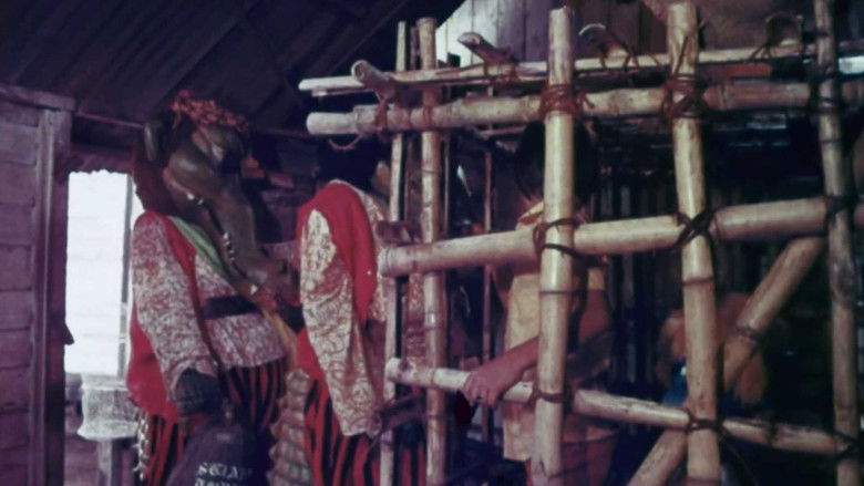 кадр из фильма The Rare Blue Apes of Cannibal Isle