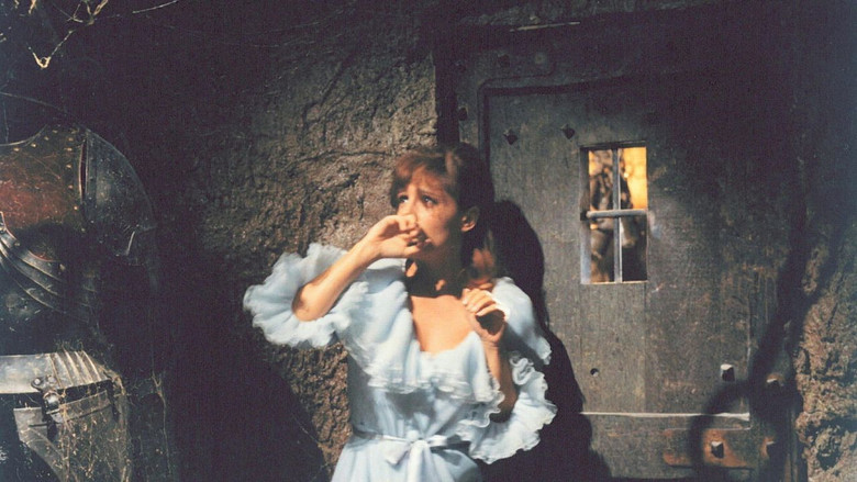 кадр из фильма Das Schloss des Grauens