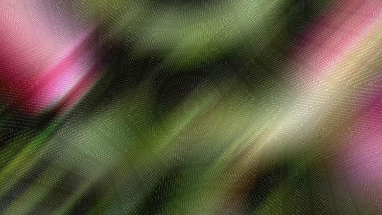 кадр из фильма The Furies and The Flowers