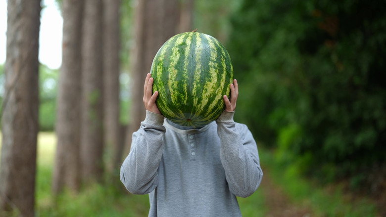 кадр из фильма OCO